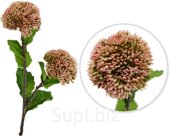 Decorative flower Trachelium. Size: 10x6x44 cm.