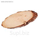 Спил сосны косой, шлифованный с одной стороны, 13х25см, толщина 1,5см