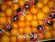 Мандарины Марокко из Москвы