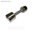 Гантель «Фитнесс» 2 кг, хром