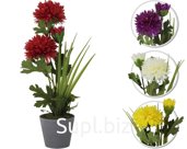 Decorative Chrysanthemum flower in a pot. Size: 110x110x340mm.