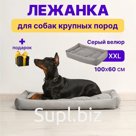 Зоотовары