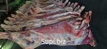 Говядина 1 категории в полутушах,четвертинах ГОСТ