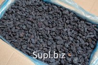 Изюм Гибрид оптом по выгодной цене с доставкой по Москве и России.

Информация о товаре:
– страна-производитель: Узбекистан;
– коробка 5 кг;
– цена с 20% НДС;
…