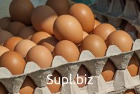 Яйцо куриное C0,C1,C2,C3 (не фасованное)