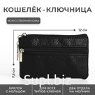 Ключница - кошелёк на молнии, длина 12 см, кольцо, цвет чёрный