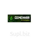 Семена Райграс однолетний Изорский, Рапид (РС1, РС2, РСт)