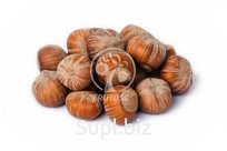 Фундук в скорлупе