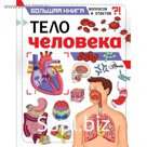 Тело человека