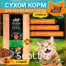 Dry Buddy Dinner Green Line food for cats of all premium breeds, hypoallergenic, full, with sensitive digestion, without additives, 100% natural composition, with fish, 2 kg