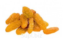 Изюм Джамбо Голд (Чили)