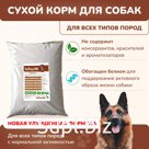 Сухой корм КАТРЕКС для собак