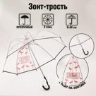 Зонт женский механический, купол Tropical Paradise, 8 спиц, d = 88 см, прозрачный, механический