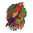 Пазл «Красочный попугай»