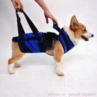 Шлейка для полной поддержки DogCare М