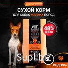 Dry feed for dogs of small breeds Buddy Dinner Super -class Orange Line, hypoallergenic full -line without additives 100% natural composition with turkey 5 kg