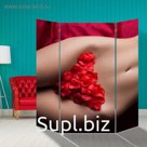 Ширма "Интрига", 160 × 160 см