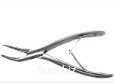 ROOT FORCEPS