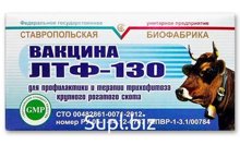 Вакцина ЛТФ-130 от трихофитоза (лишая) КРС 20 доз во флаконе
