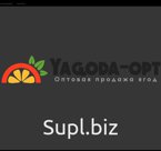 Картофель Авико Санни Фрайз 10 мм 2,5 кг*5