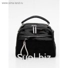 Сумка кросс-боди  Ludor  Черный