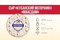 Сыр "Маасдам" 45%, вес г/я КМ