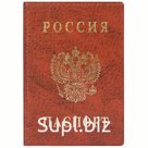 Обложка для паспорта ДПС, ПВХ, тиснение "Герб", коричневый