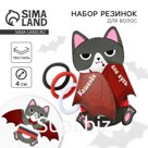Резинки для волос на Хэллоуин «Кот Дракула», d= 4 см, 3 шт.